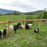 Zum Roessl
