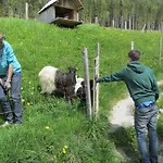 罗塞尔公寓 公寓 拉姆绍达赫斯坦