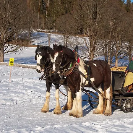 Zum Roessl * רמסאו אם דכשטיין