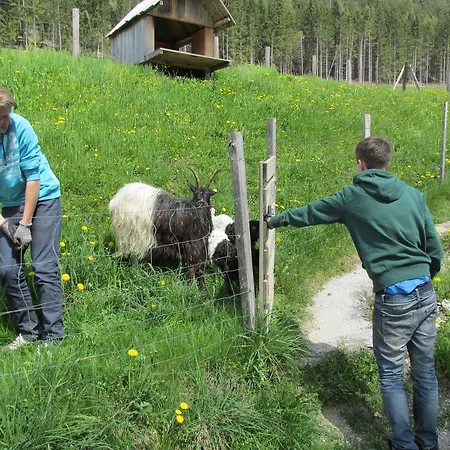 Zum Rössl Apartment Ramsau am Dachstein