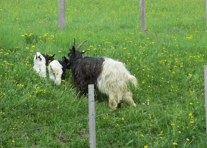 Zum Roessl Ramsau am Dachstein
