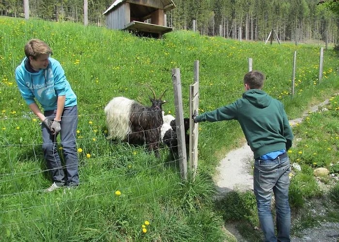 Zum Roessl Apartamento Ramsau am Dachstein