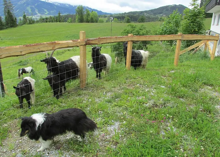 Apartamento Zum Roessl *